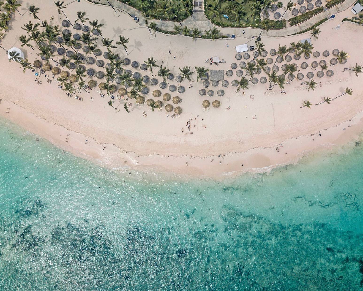 Aerial of a palm-lined beach, the Caribbean